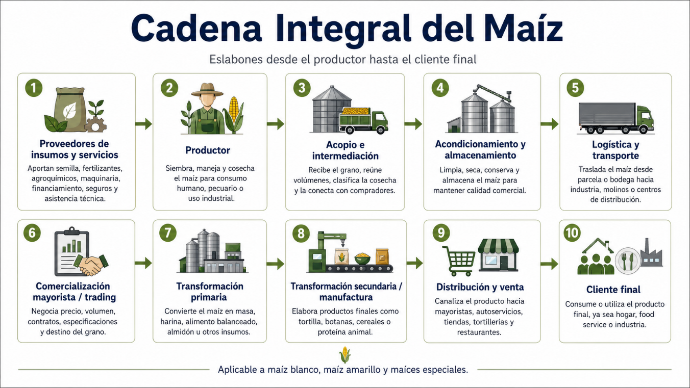 Figura 1: Diagrama da cadeia de valor integral do milho branco, dos insumos ao consumidor final.